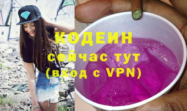 хмурый Бородино
