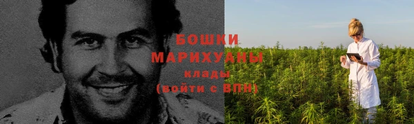 гидра Бугульма
