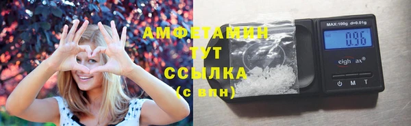 хмурый Бородино