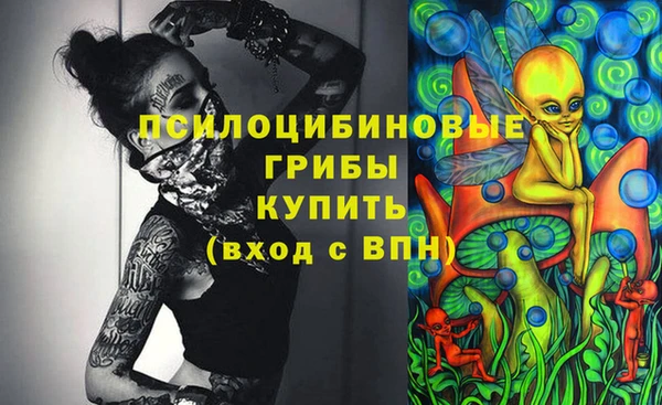 гидра Бугульма